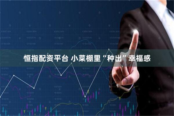 恒指配资平台 小菜棚里“种出”幸福感